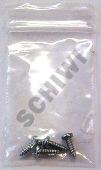 Schraubensatz für PVC-Rahmen 4x mit Grobgewinde 3x6mm ISO